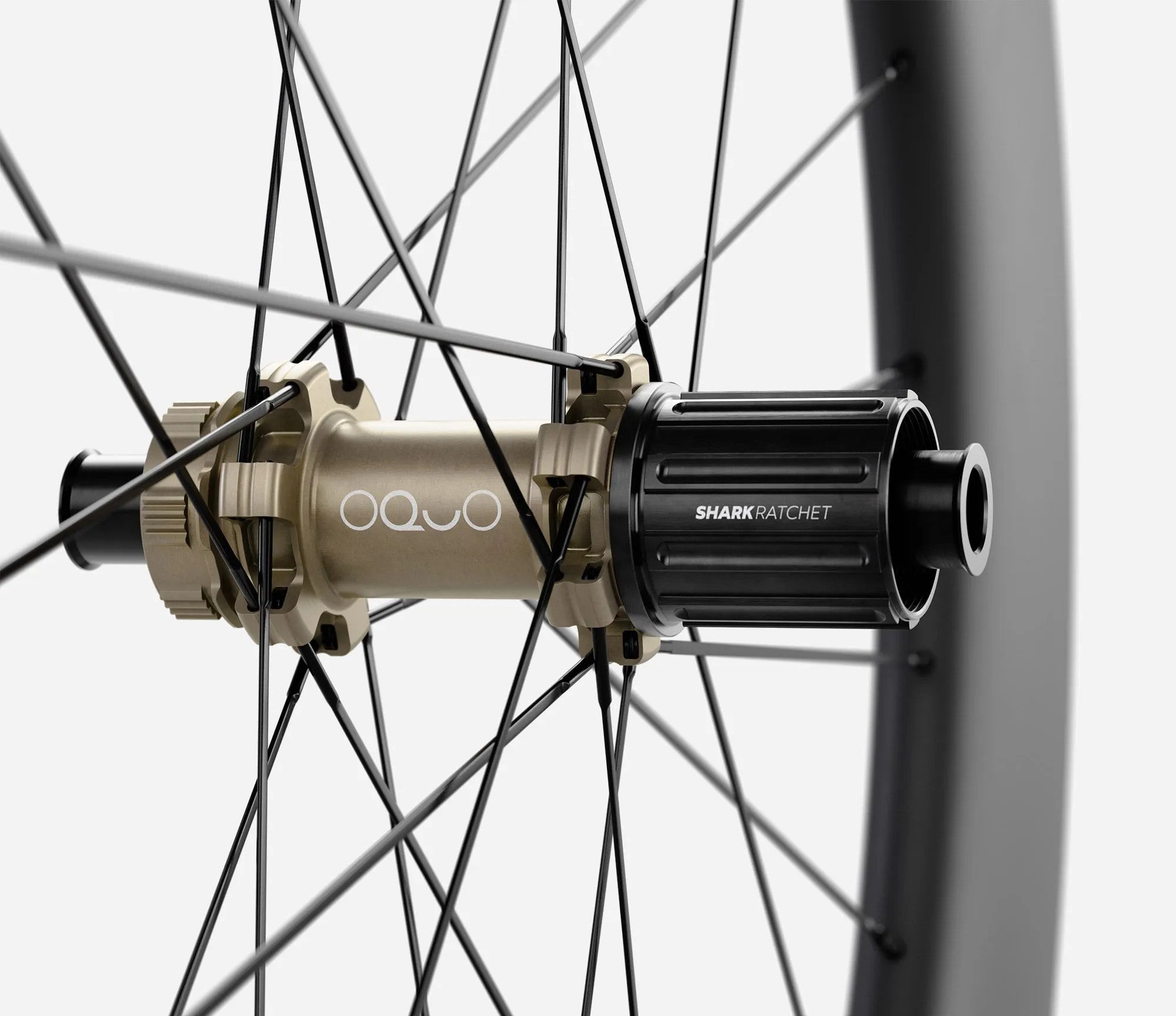 front-04-oquo-ra80ltd-hg