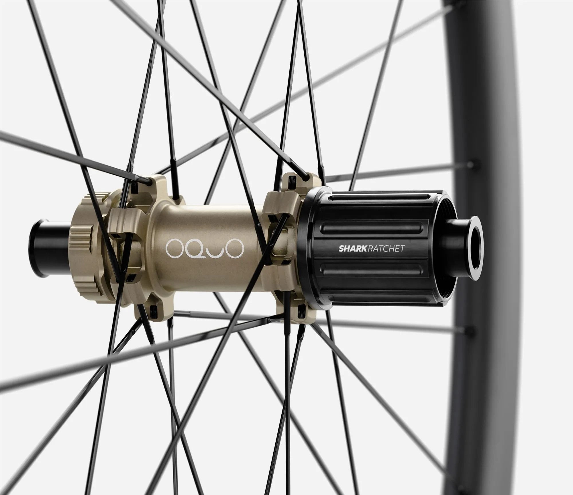 front-04-oquo-rp35ltd-hg
