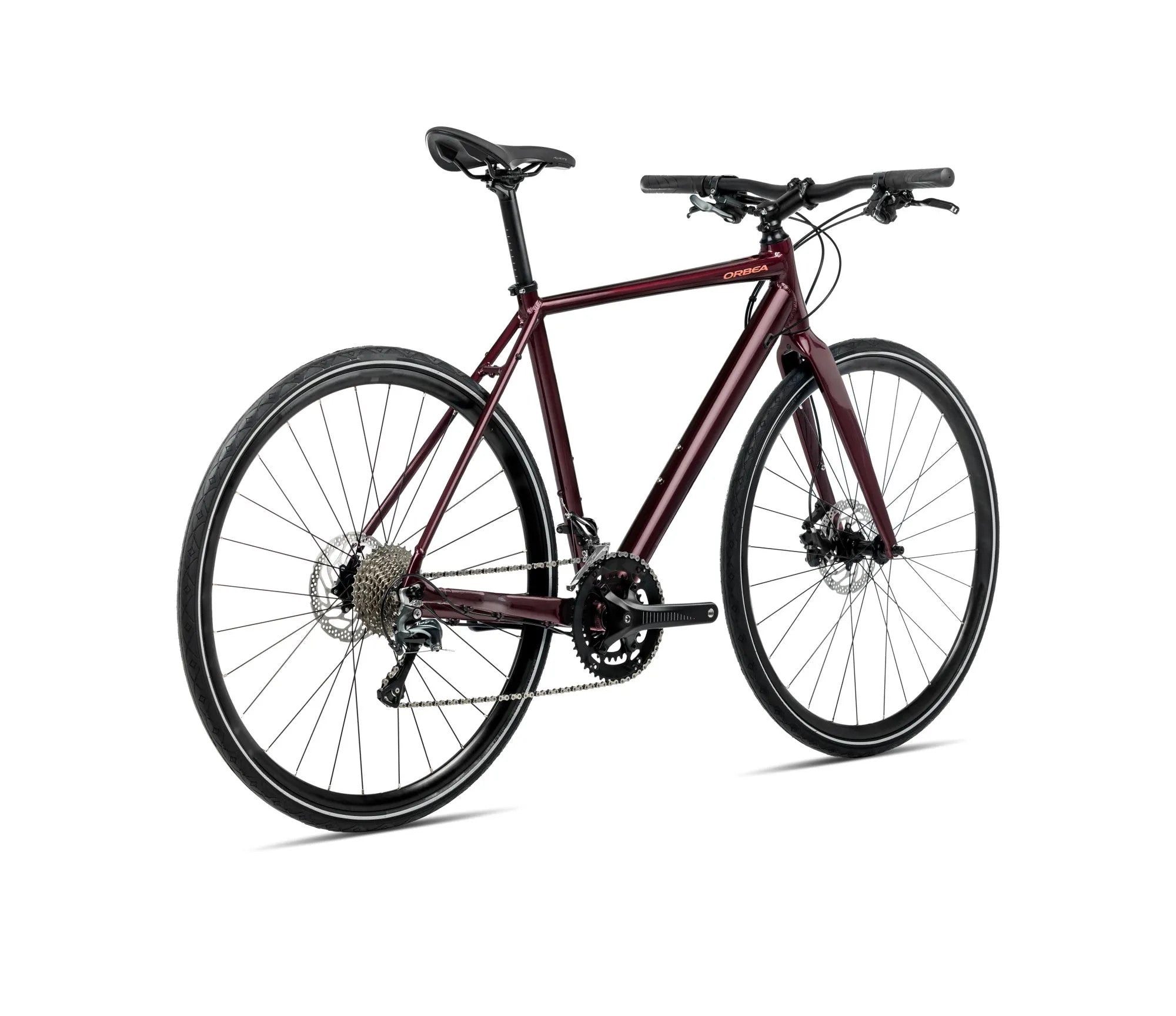 S409TTCC-RP-BACK-VECTOR_10