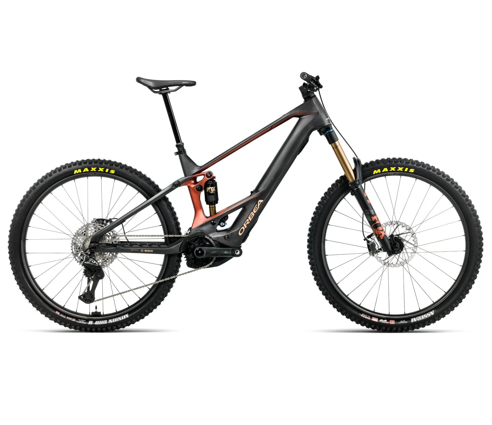 T348TTCC-X1-SIDE-WILD_MLTD