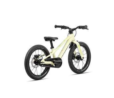 U002TTCC-J1-BACK-KIMU_16